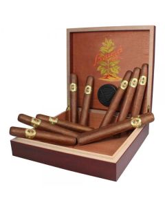 10 Bauza Cigars and Travel Humidor