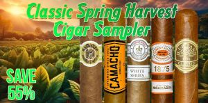 Classic Spring Harvest Cigar Sampler