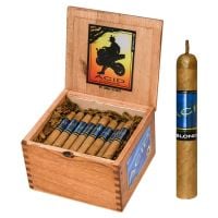 Acid Blondie Natural box of 40