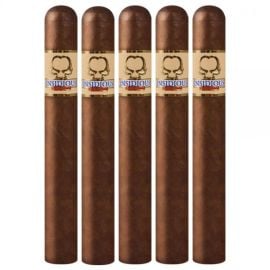 pack of 5