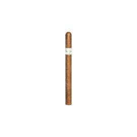 cigar