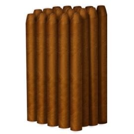 box of 24