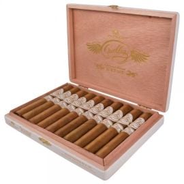 box of 10