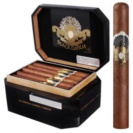 box of 20