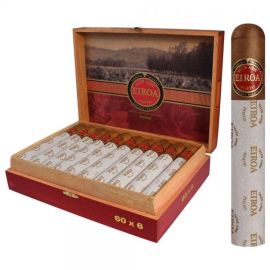 box of 20