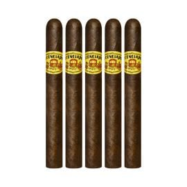 pack of 5