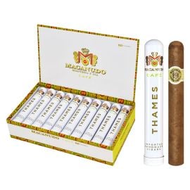 box of 20