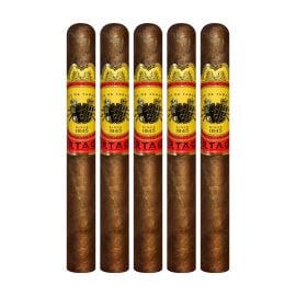 pack of 5