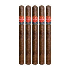 pack of 5