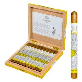 box of 10