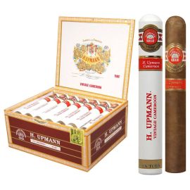 box of 20