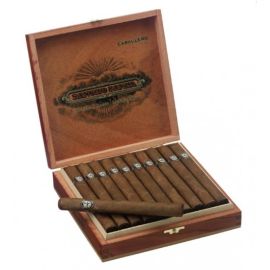 box of 20