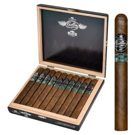 box of 20