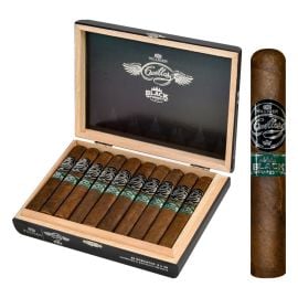 box of 20