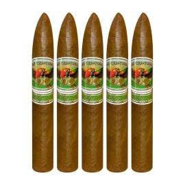 pack of 5