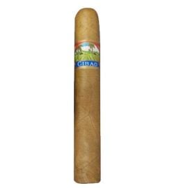 cigar