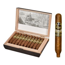 box of 20