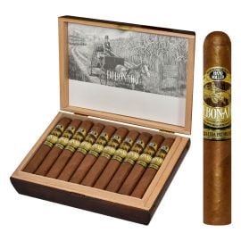 box of 20