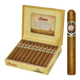 box of 20