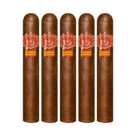 pack of 5