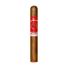 cigar