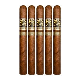 pack of 5