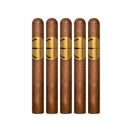 pack of 5