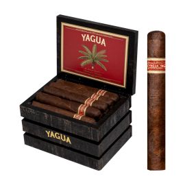 box of 20