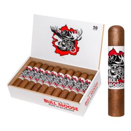 box of 20