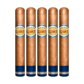 pack of 5