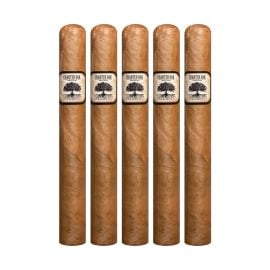 pack of 5