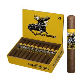 box of 20
