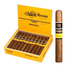 box of 20