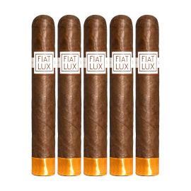 pack of 5