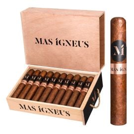 box of 20