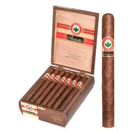 box of 20