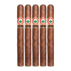 pack of 5
