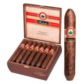box of 20