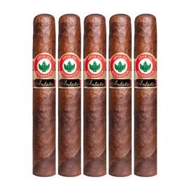 pack of 5