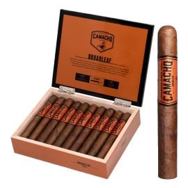 box of 20