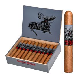 box of 20