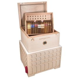 box of 50