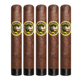 pack of 5