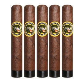 pack of 5