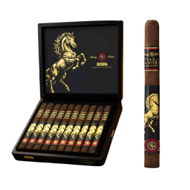 box of 10