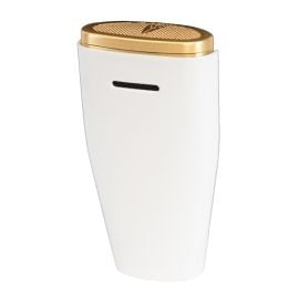White and Gold