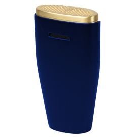 Navy Blue and Gold