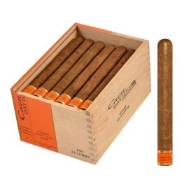 box of 24