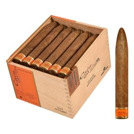 box of 24