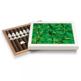 box of 10